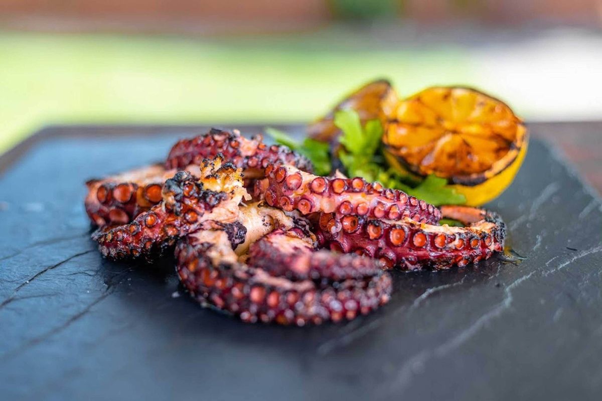 grilled-octopus-recipe